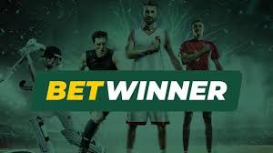 BetWinner Gambling Platform Your Ultimate Betting Companion BetWinner Gambling Platform Your Ultimate Betting Companion
