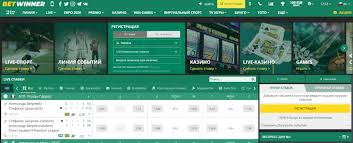 BetWinner Sportsbook Your Ultimate Guide to Online Betting