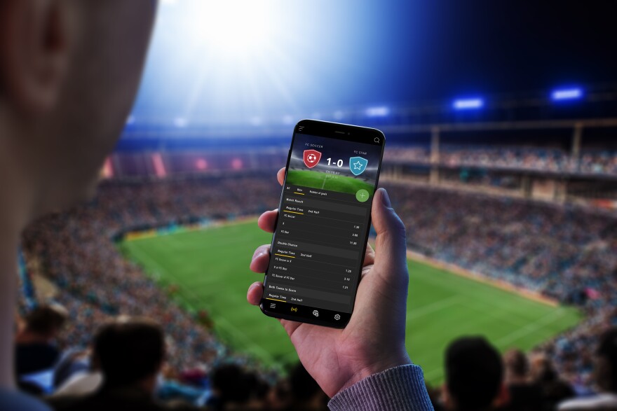 How to Bet on Ice Hockey and Win More Often 11 How to Bet on Ice Hockey and Win More Often 11